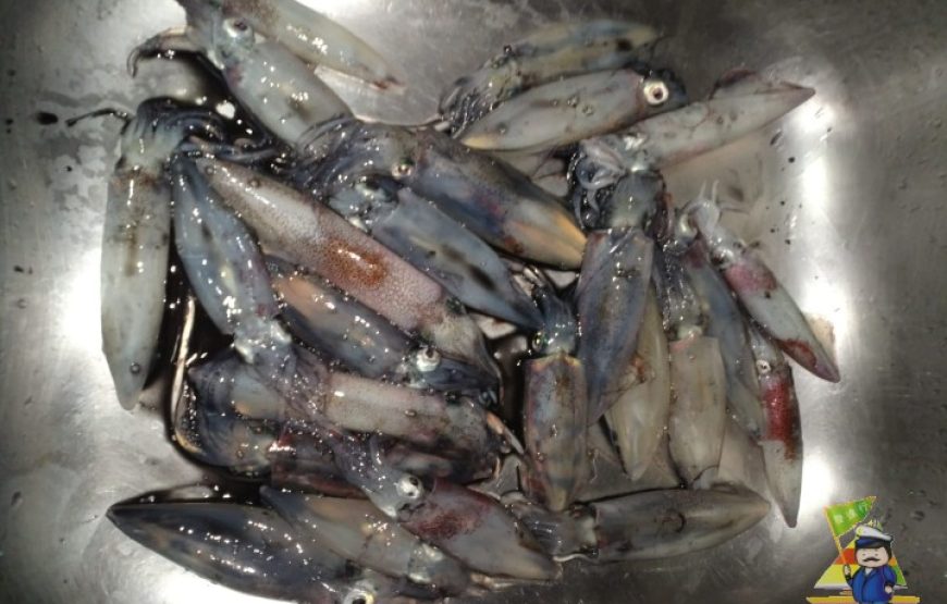 尖沙咀釣墨魚：船上享用「泰滋味」自助餐
