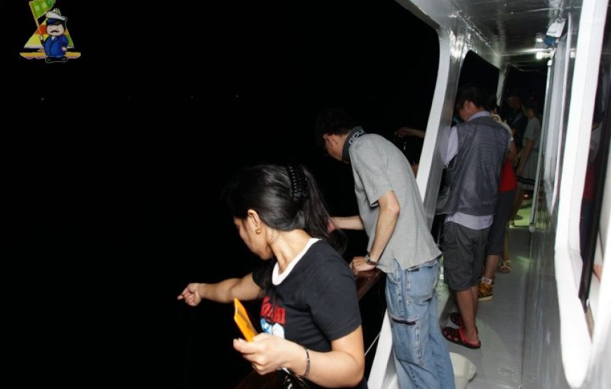 母親節前夕無人機表演、船上享用豐富泰式自助餐、神奇八爪鈎夜釣墨魚船河    (團號  DRST24)