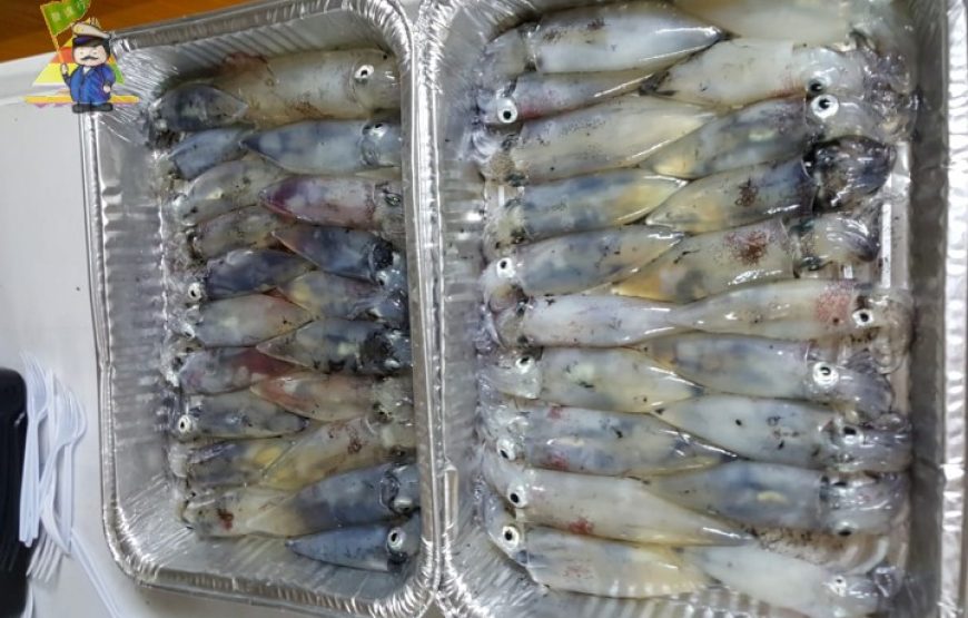 鯉魚門海鮮酒家享用海鮮餐、鯉魚門碼頭上船、神奇八爪鈎夜釣墨魚、夏日晚風遊船河同樂       ( 團號  CTYT24 )